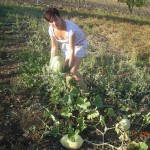 Agriturismo Nonna Cecilia: produzione nell'orto